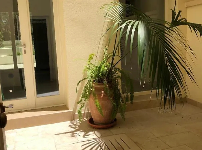 Carlo V - Con Piscina E Giardino Privati